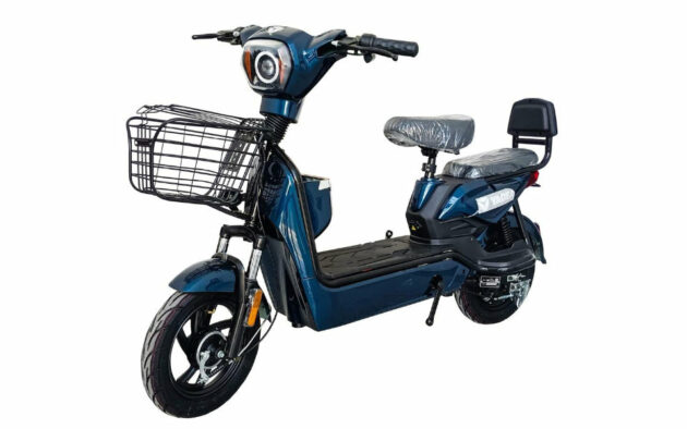 CHILWEE 6-DZF-20